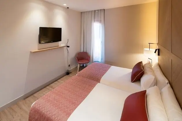 Executive Tek Büyük Yataklı Oda (single use)