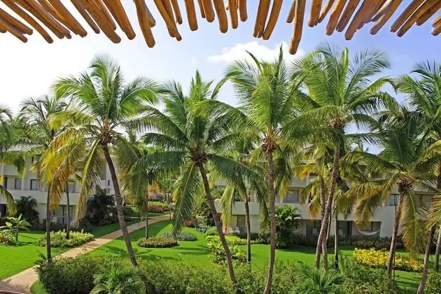 Premium Junior Suite