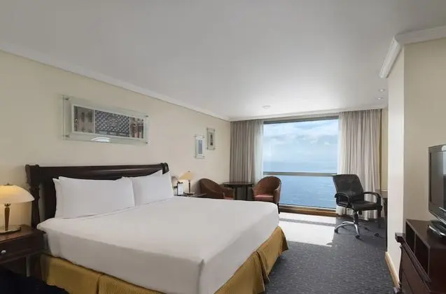 Ocean Front Single Use