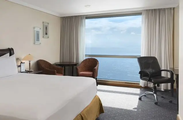 Ocean Front Single Use
