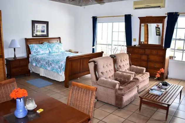 Süit, 1 Büyük (Queen) Boy Yatak ve Çekyat, Balkon, Okyanus Manzaralı (Admiral's)
