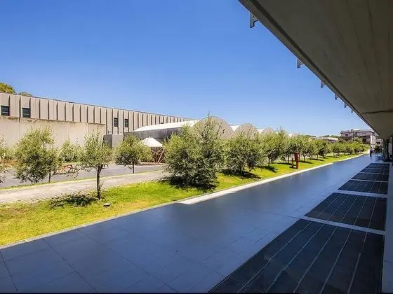 Superior Tek Büyük Yataklı Oda, 1 Çift Kişilik veya 2 Tek Kişilik Yatak (Free Airport Shuttle)