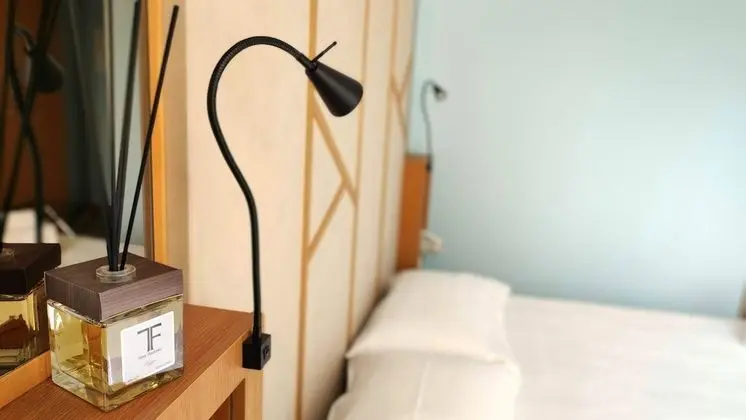 Superior Tek Büyük veya İki Ayrı Yataklı Oda, 1 Çift Kişilik Yatak