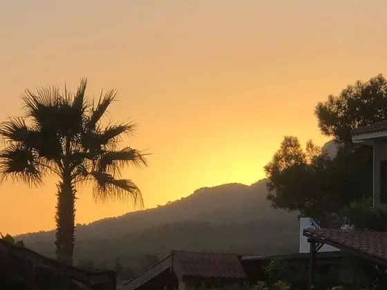 Villa, Okyanus Manzaralı