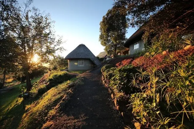 Standard Oda (Thatched)