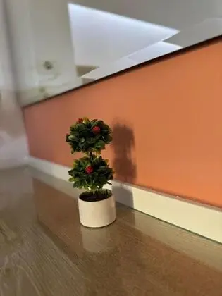 Tek Büyük veya İki Ayrı Yataklı Oda, Balkon