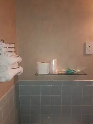 Tek Büyük Yataklı Oda, 2 Çift Kişilik Yatak, Sigara İçilmez
