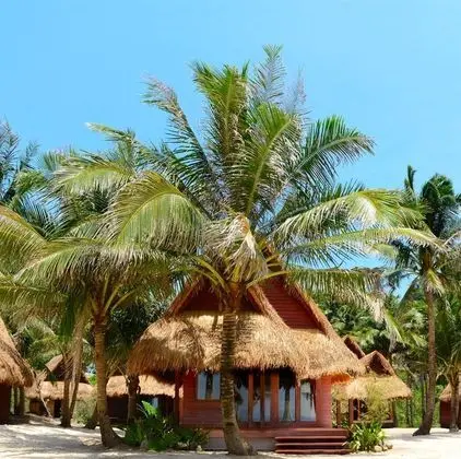 Beach View Villa