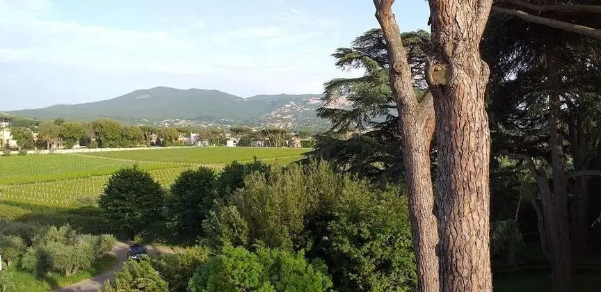 Superior Tek Büyük Yataklı Oda (Grand Tour Eleganza Vista Parco)