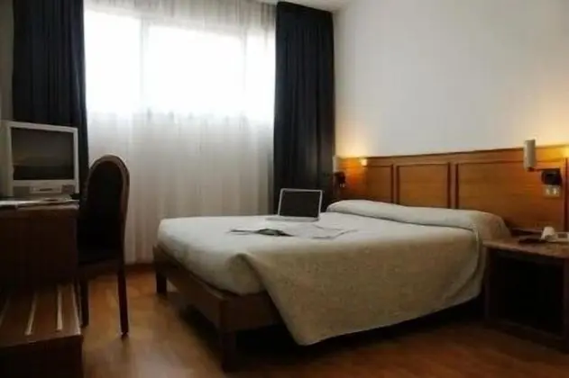 Büyük Yataklı Tek Kişilik Oda (1 double bed)