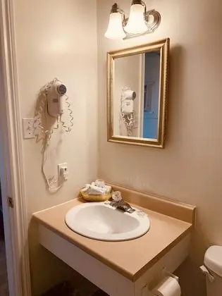 Standard Tek Büyük Yataklı Oda, 2 Büyük (Queen) Boy Yatak