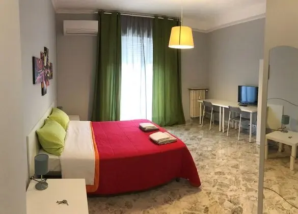 City Tek Büyük Yataklı Oda, 1 Yatak Odası, Sigara İçilmez, Şehir Manzaralı