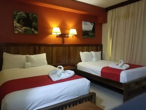 Deluxe Tek Büyük Yataklı Oda, 2 Çift Kişilik Yatak