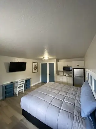 Luxury Stüdyo Süit