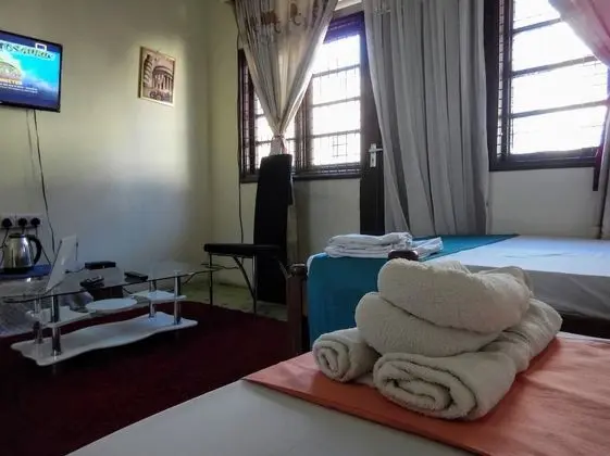 Basic Stüdyo, 1 Çift Kişilik Yatak, Mutfak, Şehir Manzaralı