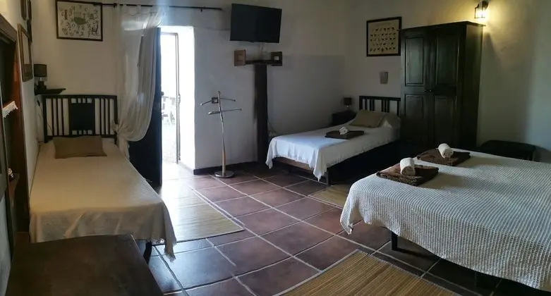 Dört Kişilik Oda, Ortak Banyo, Bahçeli (Graziosa)