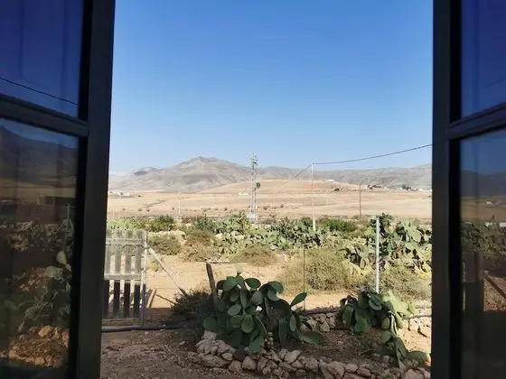 Tek Büyük Yataklı Oda, Ortak Banyo, Bahçeli (Carpe Diem)