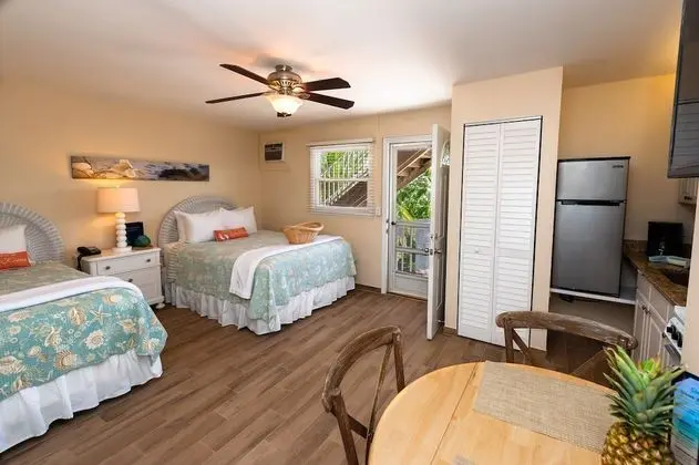 Stüdyo (2 beds)