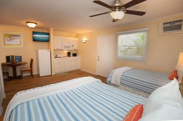 Stüdyo (2 beds)