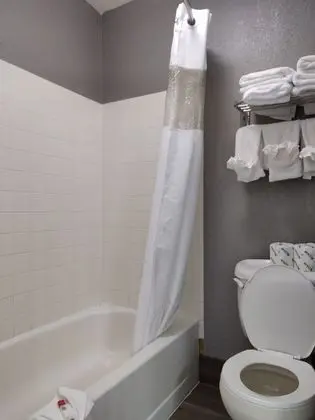 Deluxe Tek Büyük Yataklı Oda, 2 Çift Kişilik Yatak, Sigara İçilmez