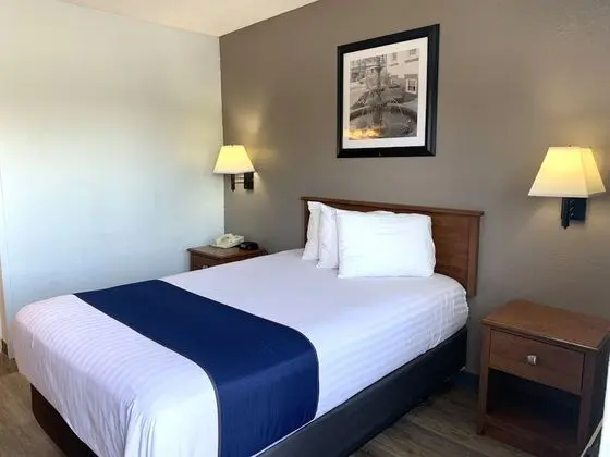 Deluxe Tek Kişilik Oda, 1 Çift Kişilik Yatak, Sigara İçilmez