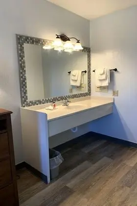 Deluxe Tek Kişilik Oda, 1 Çift Kişilik Yatak, Sigara İçilmez