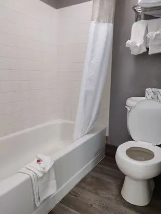 Deluxe Tek Kişilik Oda, 1 Çift Kişilik Yatak, Sigara İçilmez
