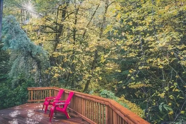 Kulübe, Birden Çok Yatak (Cedar Creek Hideaway)