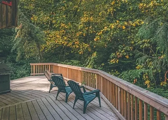 Kulübe, Birden Çok Yatak (Cedar Creek Hideaway)