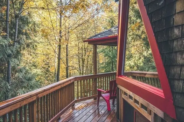 Kulübe, Birden Çok Yatak (Cedar Creek Hideaway)