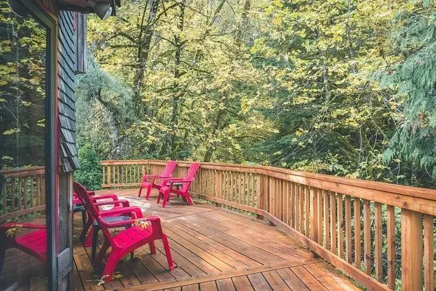 Kulübe, Birden Çok Yatak (Cedar Creek Hideaway)