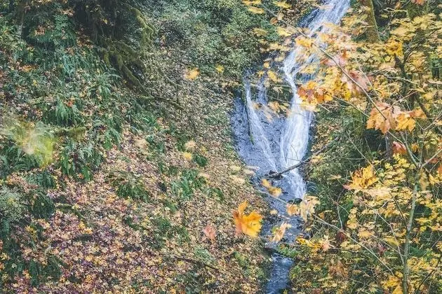 Kulübe, Birden Çok Yatak (Cedar Creek Hideaway)