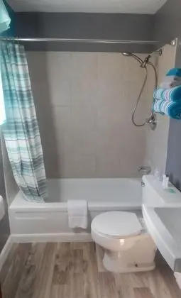 Deluxe Tek Büyük Yataklı Oda, 1 Büyük (Queen) Boy Yatak