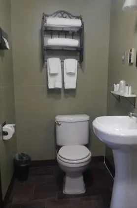 Superior Tek Büyük Yataklı Oda, 2 Çift Kişilik Yatak