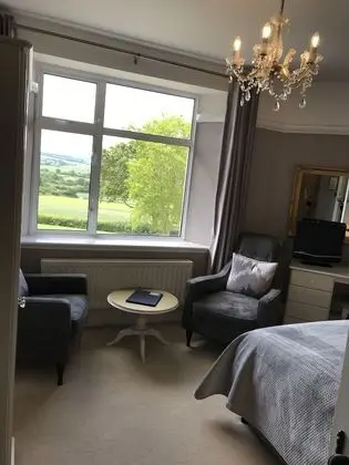 Tek Büyük Yataklı Oda (Gold room)