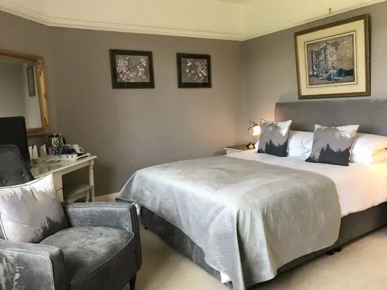 Tek Büyük Yataklı Oda (Gold room)
