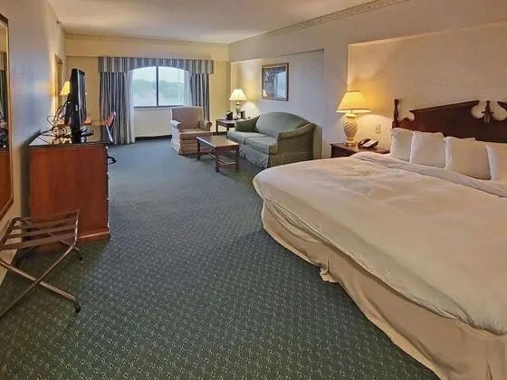 Oda, 1 En Büyük (King) Boy Yatak (Concierge Level)