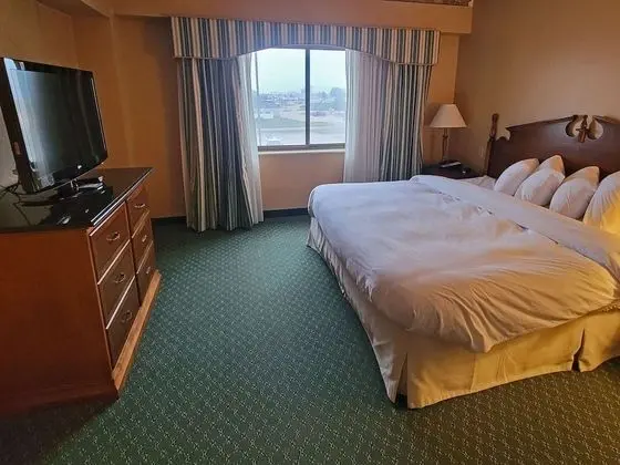 Oda, 1 En Büyük (King) Boy Yatak (Concierge Level)