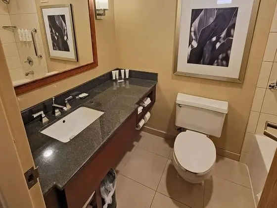 Oda, 2 Çift Kişilik Yatak (Concierge Level)