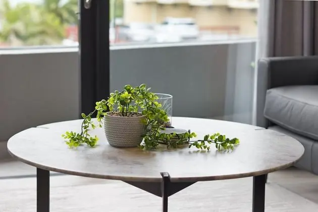 Signature Apart Daire