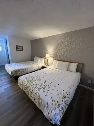 Standard Oda, 2 Büyük (Queen) Boy Yatak, Sigara İçilmez