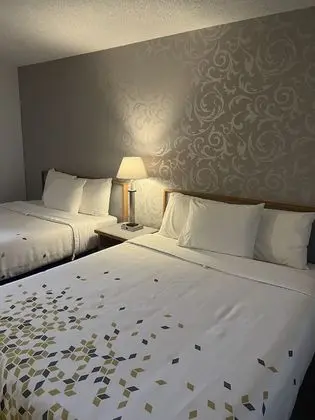 Standard Oda, 2 Büyük (Queen) Boy Yatak, Sigara İçilmez