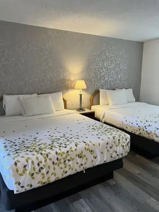 Standard Oda, 2 Büyük (Queen) Boy Yatak, Sigara İçilmez