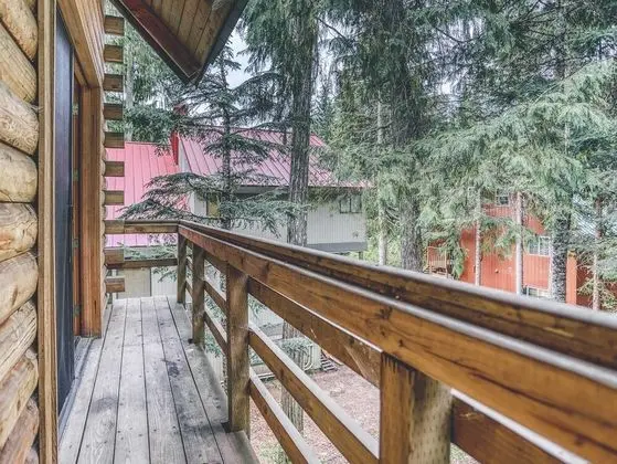 Kulübe, Birden Çok Yatak (Cedarwood Lodge)