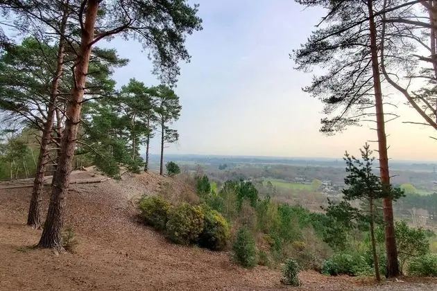 Stüdyo, Birden Çok Yatak