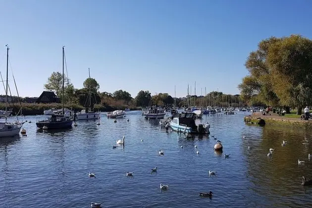 Stüdyo, Birden Çok Yatak