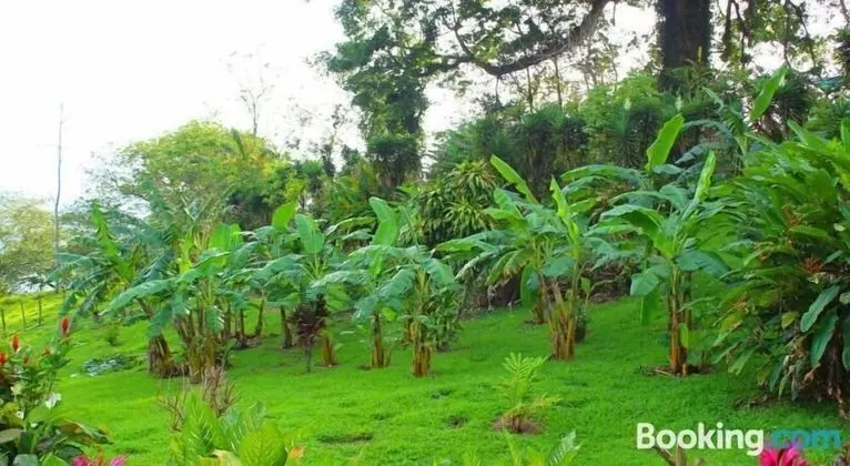 Standard Tek Büyük Yataklı Oda, 1 Çift Kişilik Yatak, Sigara İçilmez, Göl Manzaralı