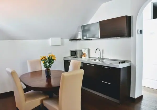 Çatı Katı Süiti (Penthouse), 2 Yatak Odası, Mutfak