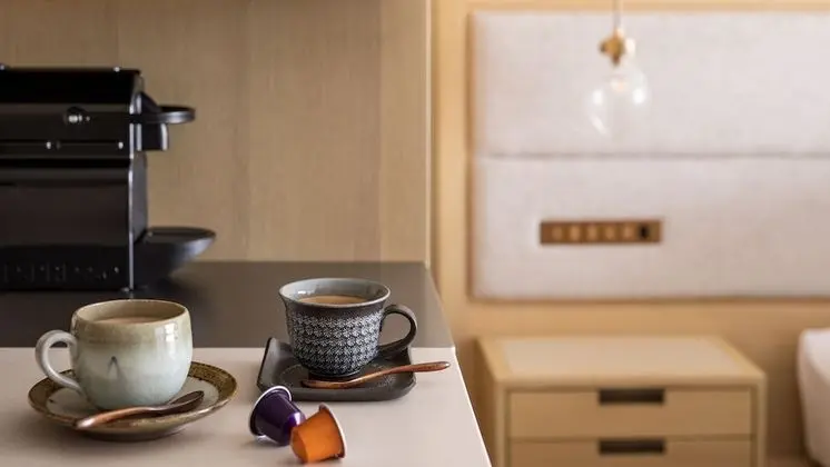 Superior İki Ayrı Yataklı Oda, Sigara İçilmez