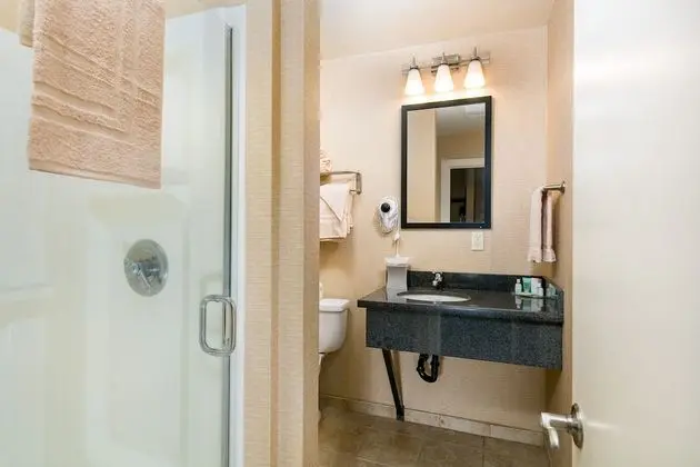 Oda, 1 En Büyük (King) Boy Yatak